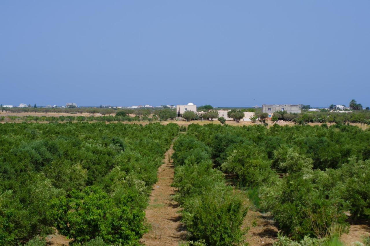 Résidence des Oliviers Yasmine Hammamet Exterior foto